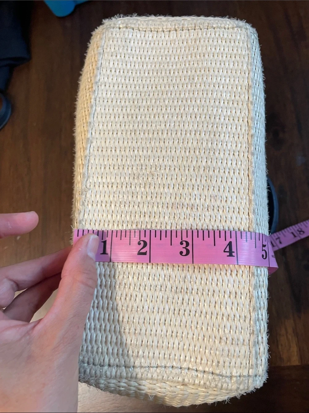 Kate Spade Cream Woven Srtaw bag with Top-Handle Bag with Black Trim